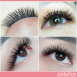 活動專屬│睫瑞YY睫毛 YY Eyelash