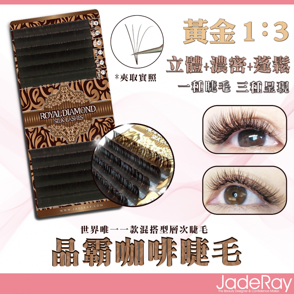 《霸王咖 │ 晶霸咖 | 天蠶咖》綜合尺寸-五盒價:2100元